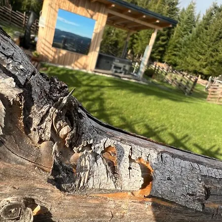 Prázdninový dům Waldheimatblick