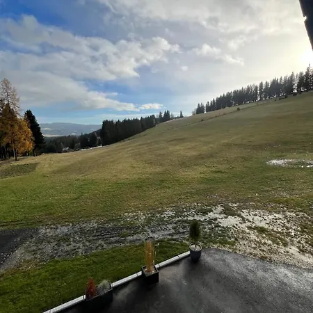 Waldheimatblick