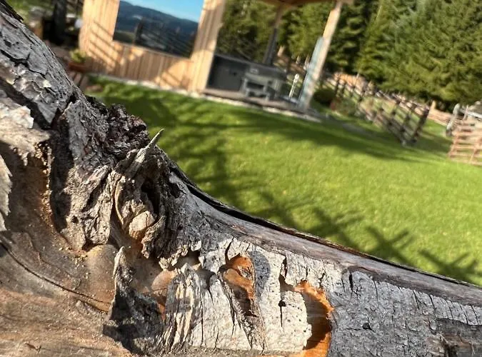 Hébergement de vacances Waldheimatblick